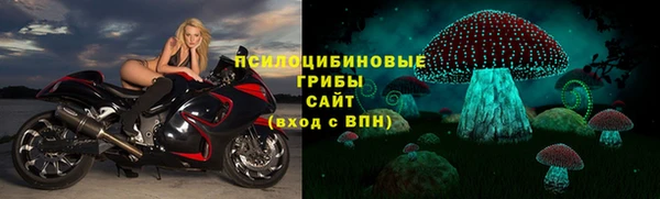 гашик Абаза
