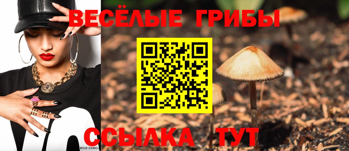 Галлюциногенные грибы ЛСД Астрахань